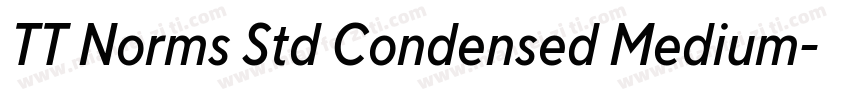 TT Norms Std Condensed Medium字体转换